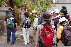 20080706-4.jpg