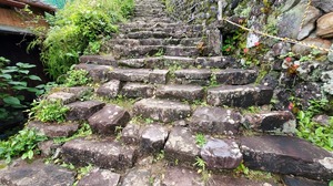 20220514_092553.jpg