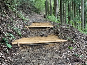 IMG-5734.jpg