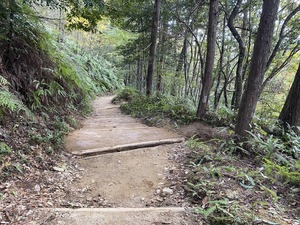 IMG_0165.JPG
