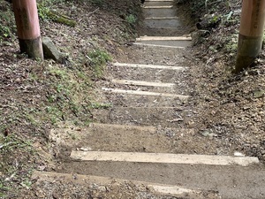 IMG_0270.jpeg