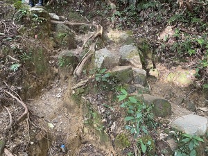 IMG_0329.JPG