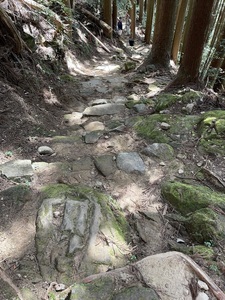 IMG_0949.jpeg