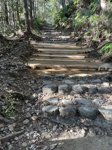 IMG_1423 2.jpeg