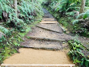 IMG_1447.jpg