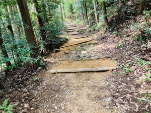 IMG_1721.jpg