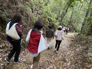IMG_2441.JPG