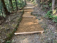 IMG_2857.jpg