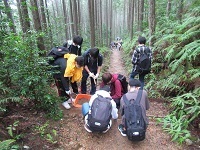 IMG_3582.JPG