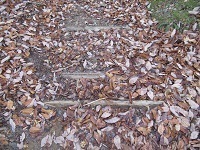 IMG_3704-m.JPG