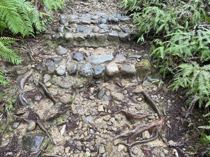 IMG_3917.jpeg