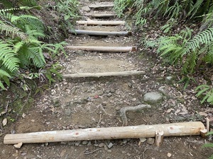 IMG_4034.jpeg