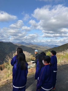 IMG_4795.jpg