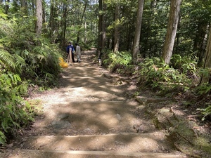 IMG_5351.JPG