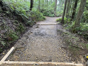 IMG_5435.JPG
