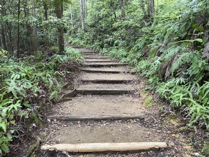 IMG_5438.JPG