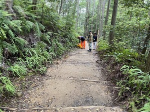 IMG_5439.JPG