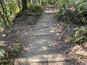 IMG_5460.JPG