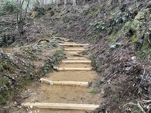 IMG_5560.JPG