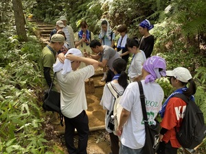 IMG_5664.jpeg