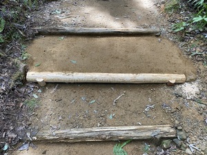 IMG_5670.jpeg