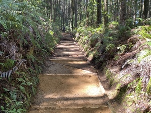IMG_5953.JPG