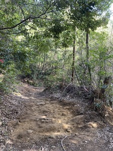 IMG_6036.JPG