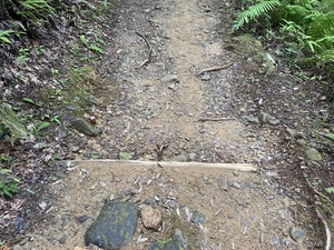 IMG_6052.JPG