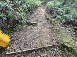 IMG_6166.jpeg