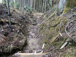 IMG_6207.JPG