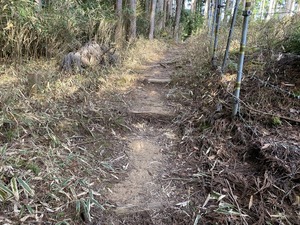 IMG_6208.JPG