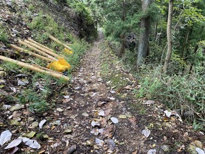IMG_7026.JPG