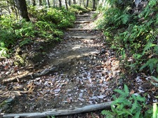 IMG_7370.jpg