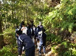 IMG_7381.jpg