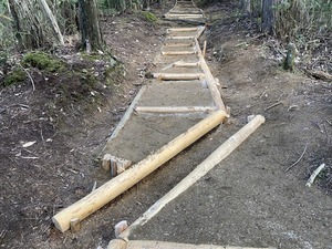 IMG_7560.JPG