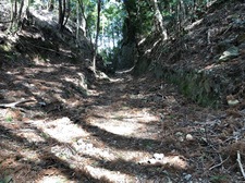 IMG_7804.jpg