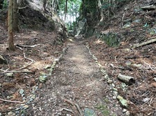 IMG_7836.jpg