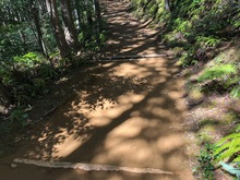 IMG_7954.jpg
