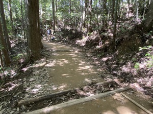 IMG_7982.JPG