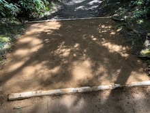 IMG_8156.jpg