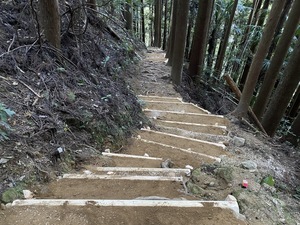 IMG_8731.JPG