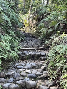 IMG_8943.jpeg