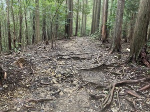 IMG_9235.JPG