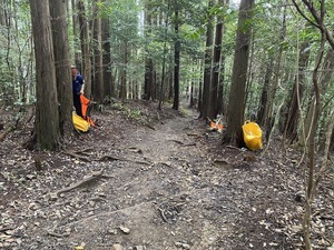 IMG_9239.JPG