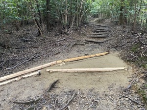IMG_9277.JPG
