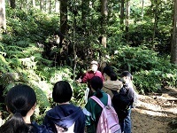 IMG_9689 -j.jpg