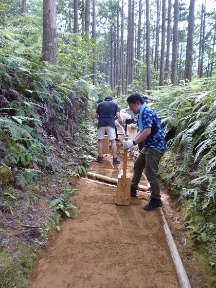 P1060035-2.jpg